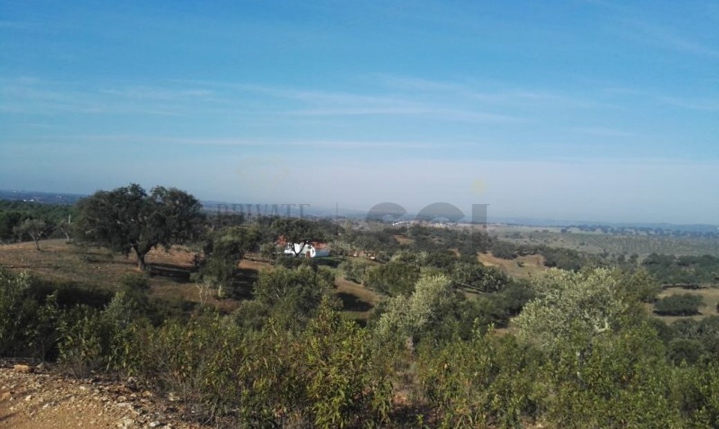 Rustic Land With About 100 In Vila Verde De Ficalho, Beja District ...