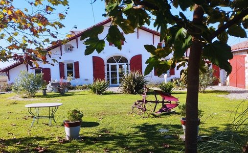 Castle for Sale in Peyrehorade, Nouvelle-Aquitaine, France