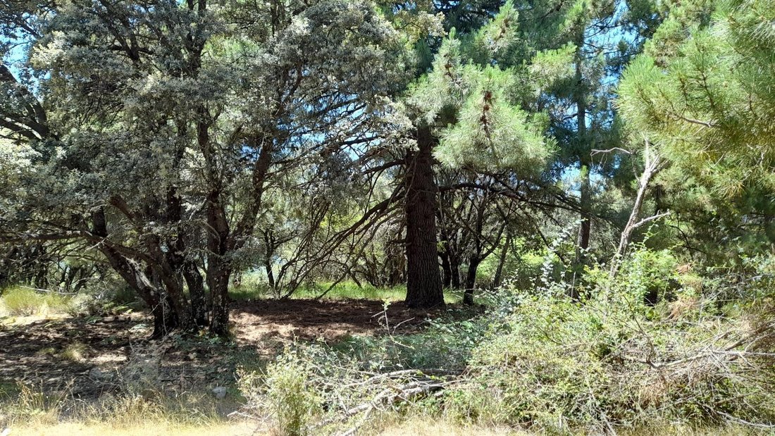 Finca à Siles, Andalousie, Espagne 4 - 15305399