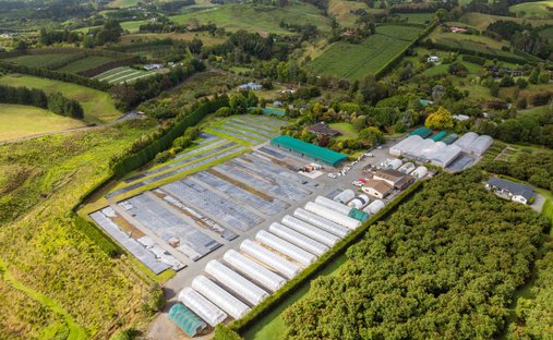 Farm Ranch in Whakamarama, Bay of Plenty, New Zealand 1