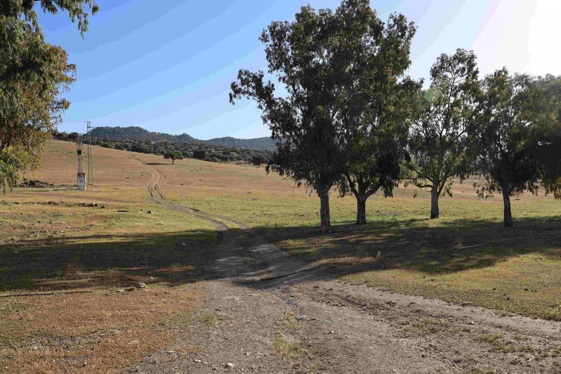 Finca in Vilches, Andalusia, Spain 4 - 15305370