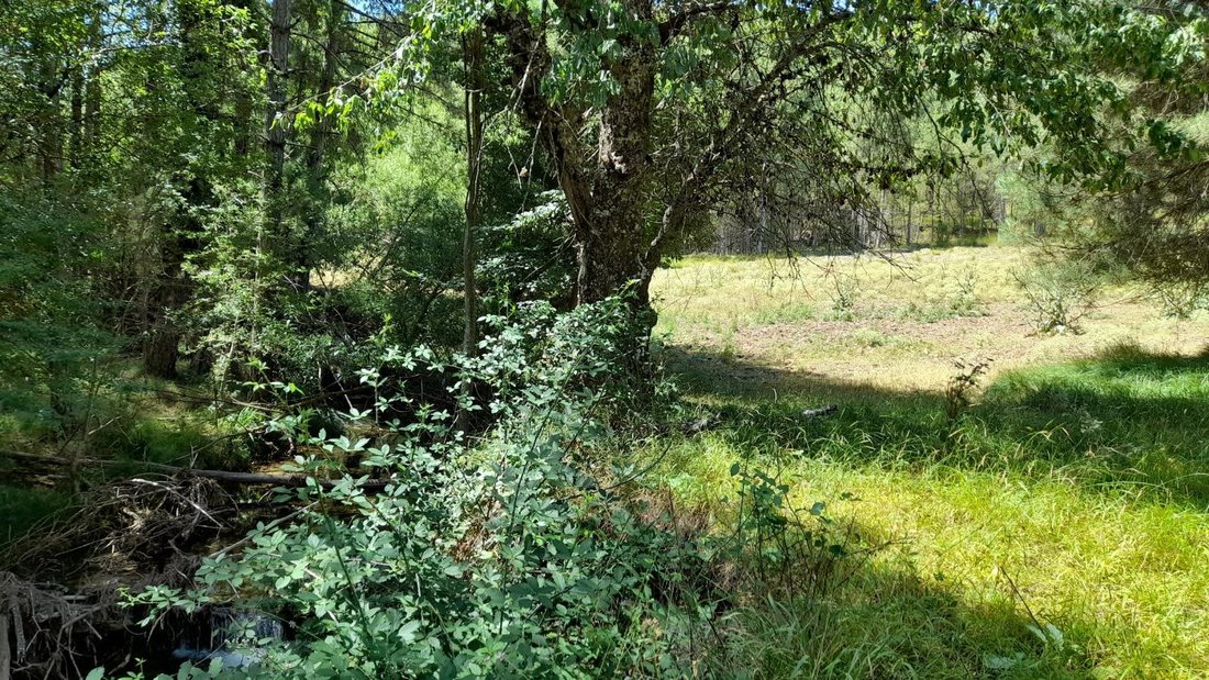 Finca à Siles, Andalousie, Espagne 1 - 15305399