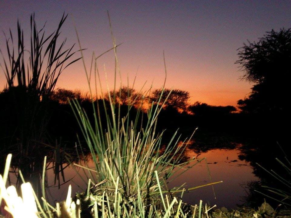 Farm Ranch in Mookgopong, Limpopo, South Africa 5 - 15305463