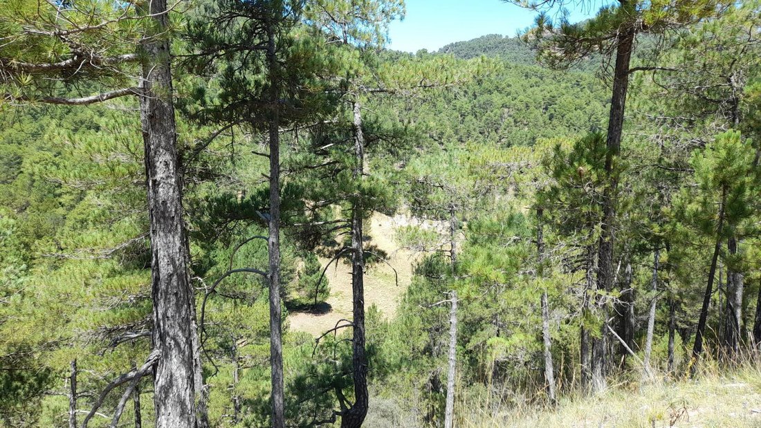 Finca à Siles, Andalousie, Espagne 2 - 15305399