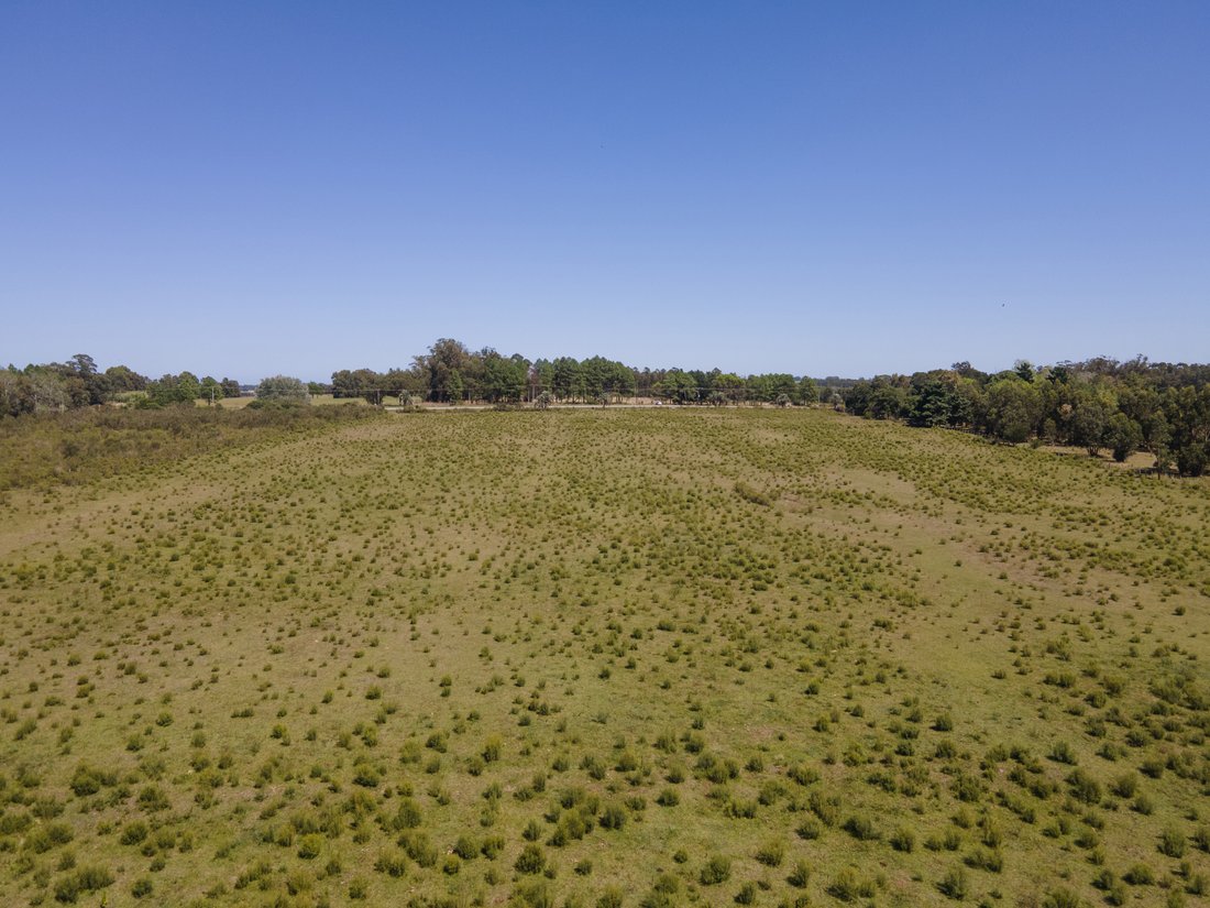 Land in Manantiales, Maldonado Department, Uruguay 5 - 15305438