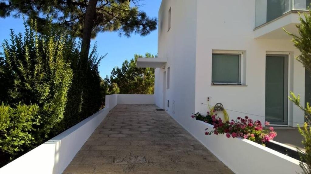Villa in Carvalhal, Setubal, Portugal 3 - 15307944