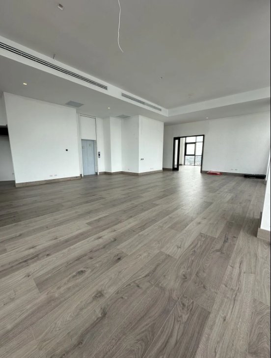 Penthouse in Santo Domingo, Distrito Nacional, Dominican Republic 4 - 15311864