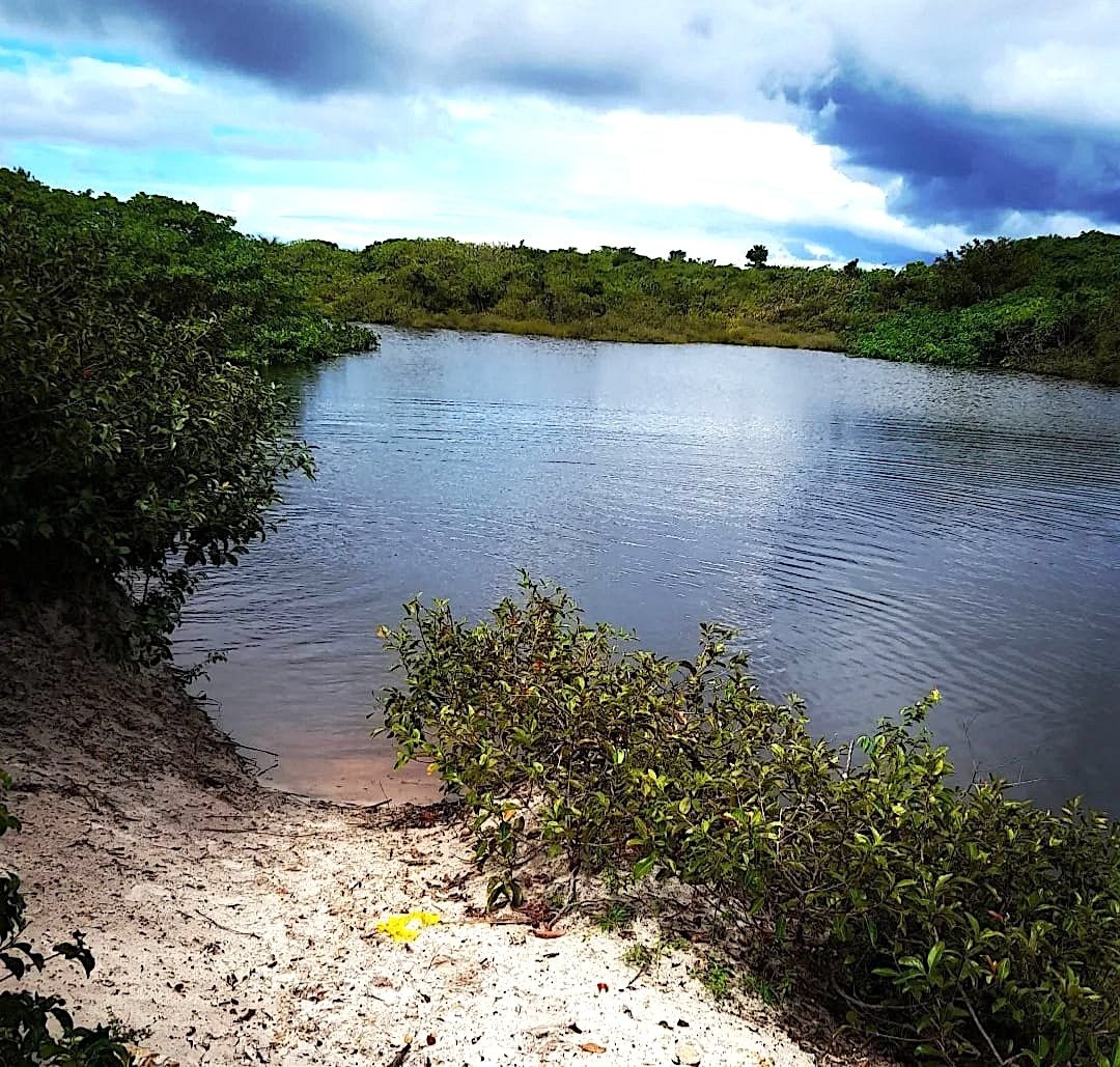 Terrain à Ilha Carrapatal, Maranhão, Brésil 4 - 15311664