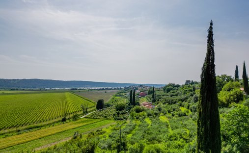 Terrain à Sečovlje, Piran, Slovénie 1