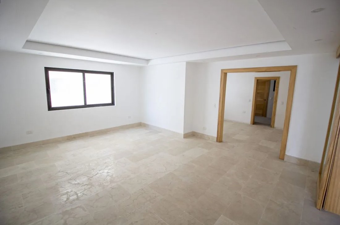 Penthouse in Santo Domingo, Distrito Nacional, Dominican Republic 3 - 15311865
