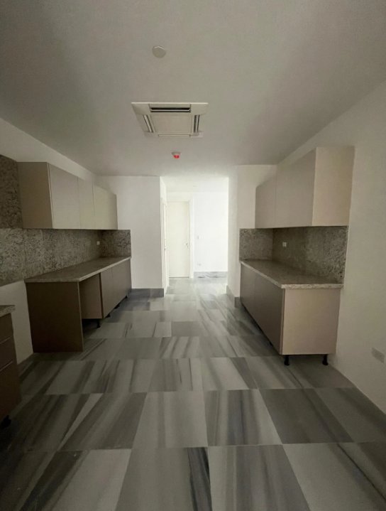 Apartment in Santo Domingo, Distrito Nacional, Dominican Republic 4 - 15311853