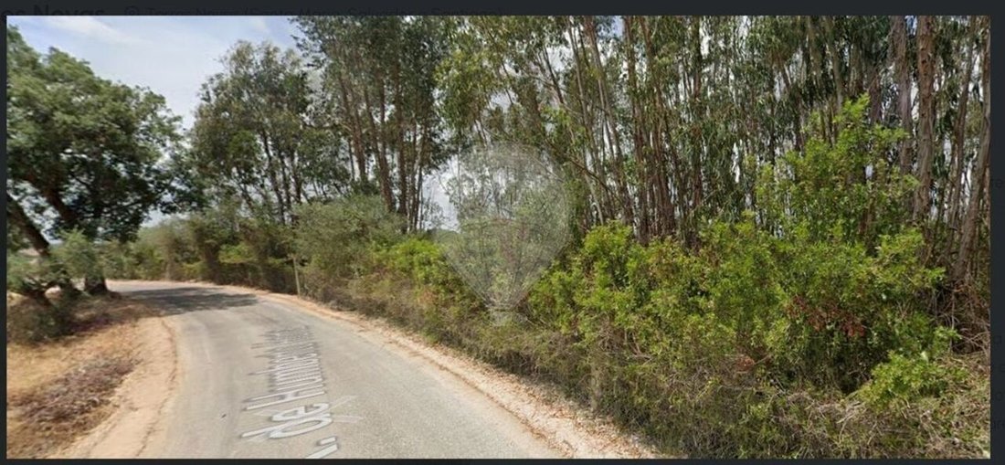 Land in Sao Pedro, Lapas e Ribeira Branca, Santarem District, Portugal 1 - 15315331