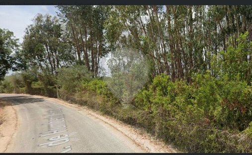Land in Sao Pedro, Lapas e Ribeira Branca, Santarem District, Portugal 1