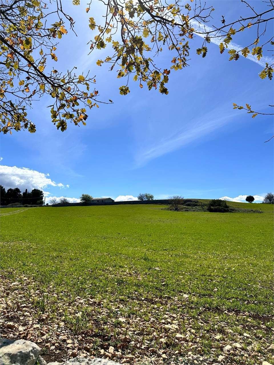 Land in Cassaro, Sicily, Italy 5 - 15313492