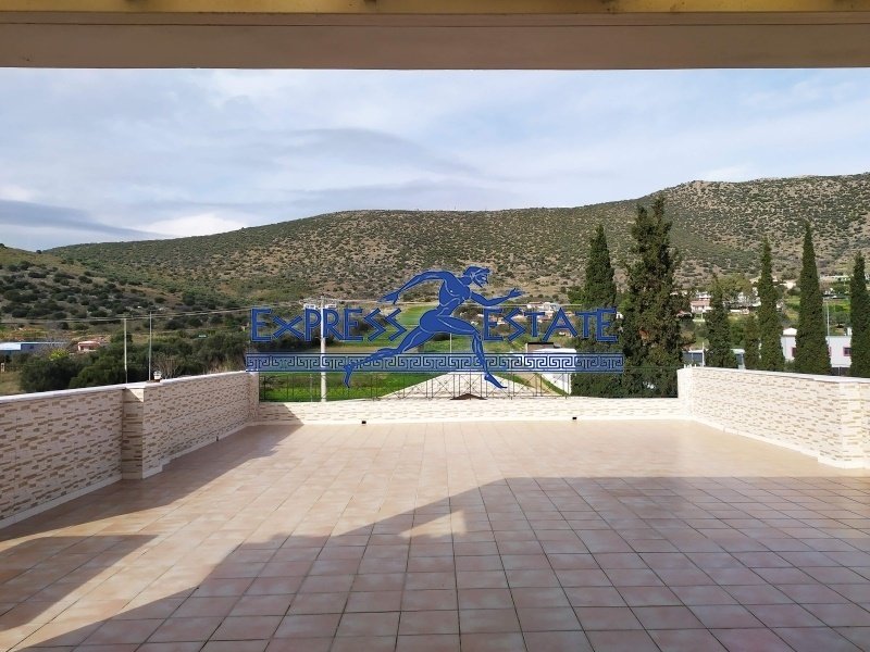 Marathonas, Attica, Greece 1 - 15314262