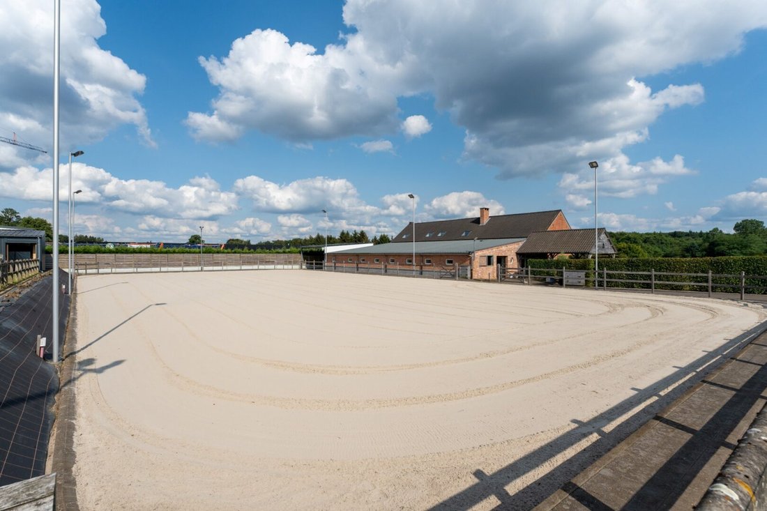 Villa in Heusden-Zolder, Flanders, Belgium 2 - 15315677