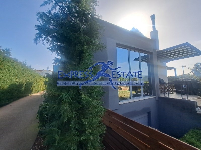 Villa in Marathonas, Attica, Greece 4 - 15314235