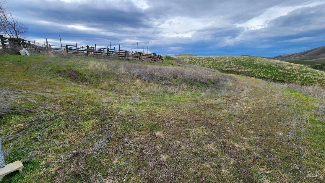 Clarkston, Washington, United States 4 - 15317672