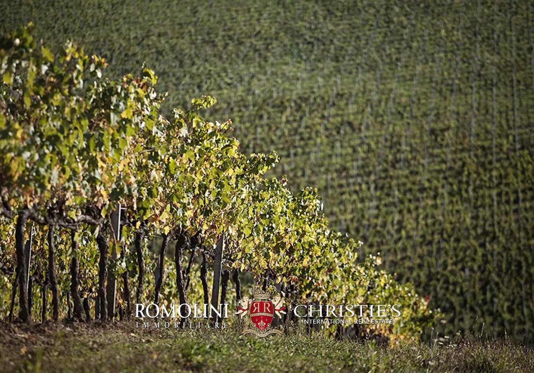 Farm Ranch in Montepulciano, Tuscany, Italy 5 - 12229680