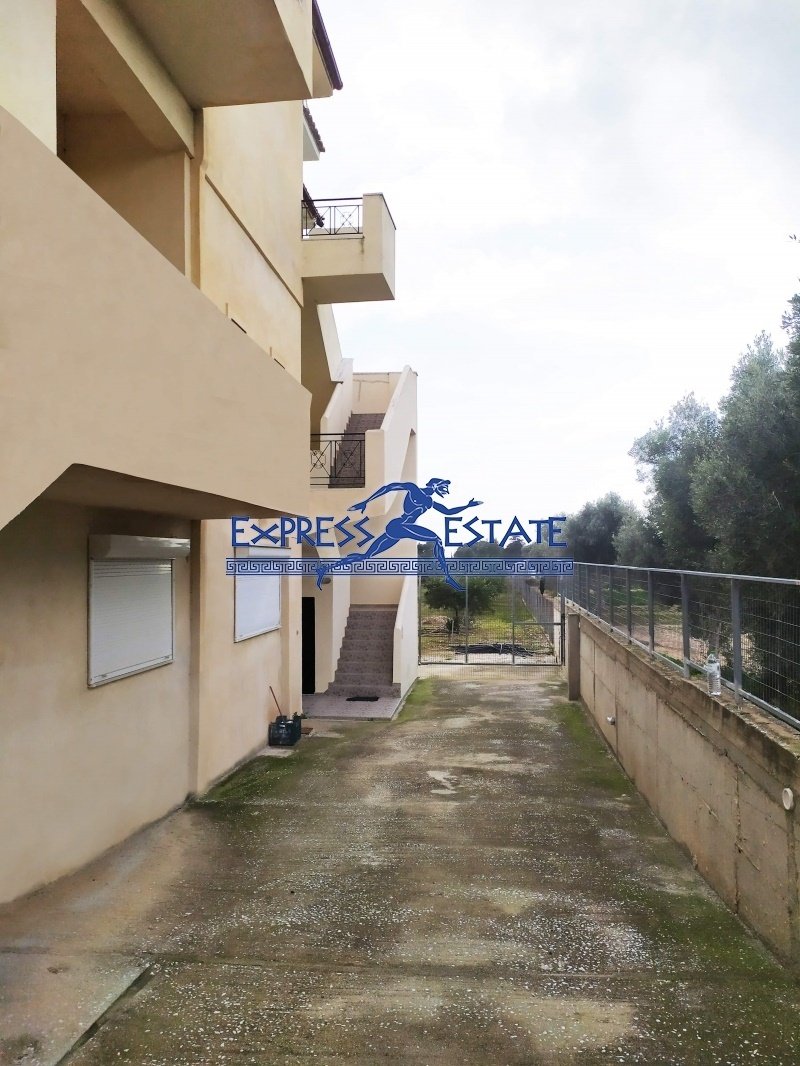 Marathonas, Attica, Greece 2 - 15314262
