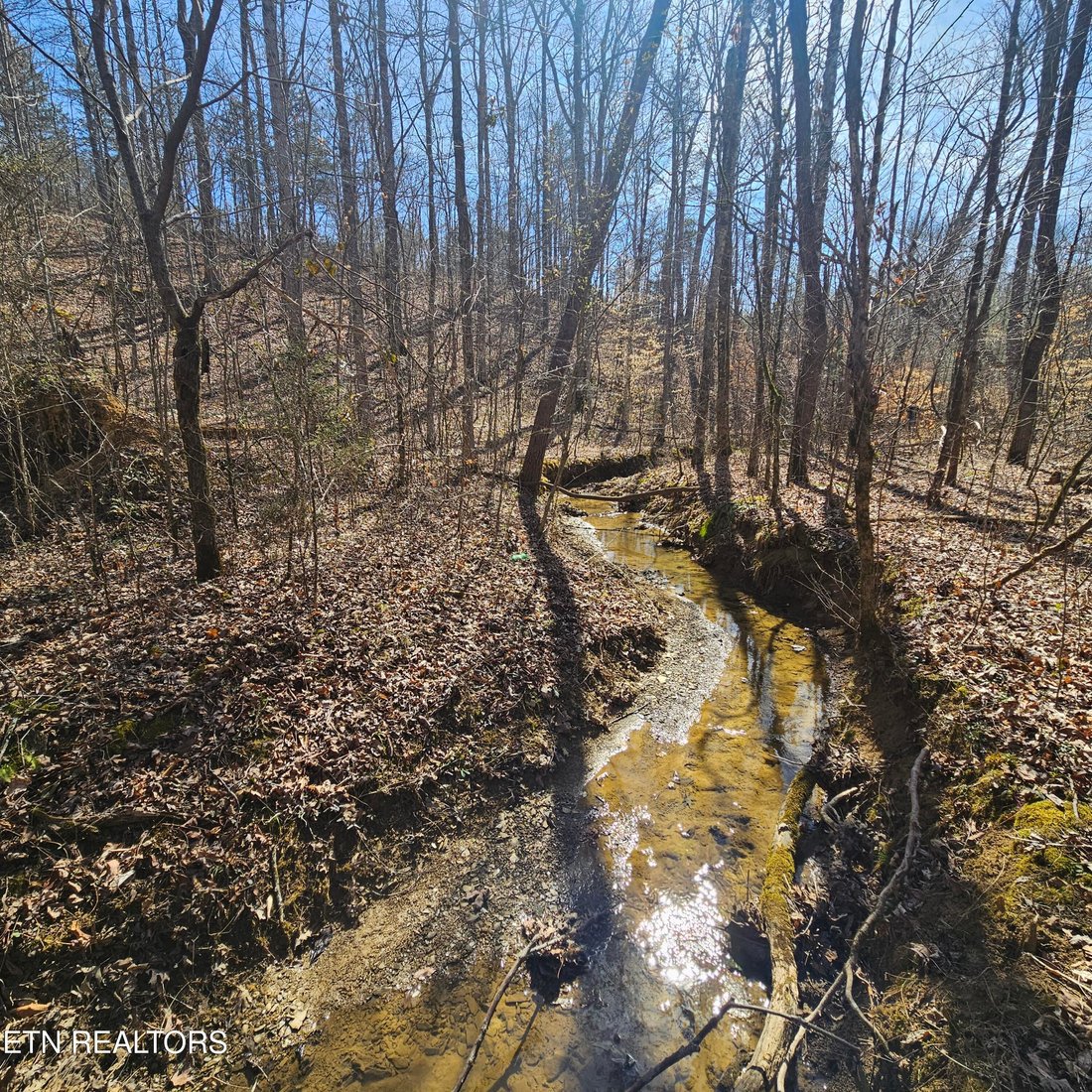 Land in Tellico Plains, Tennessee, United States 1 - 15311615