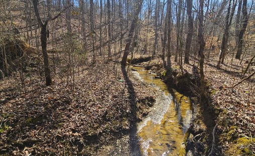 Terreno a Tellico Plains, Tennessee, Stati Uniti 1