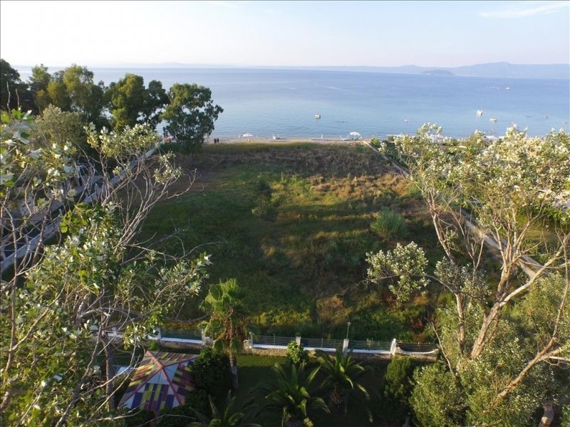 Land in Pallini Municipal Unit, Macedonia and Thrace, Greece 5 - 14524813