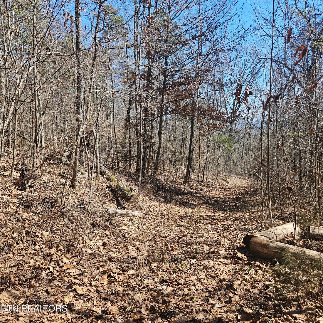 Land in Tellico Plains, Tennessee, United States 4 - 15311615