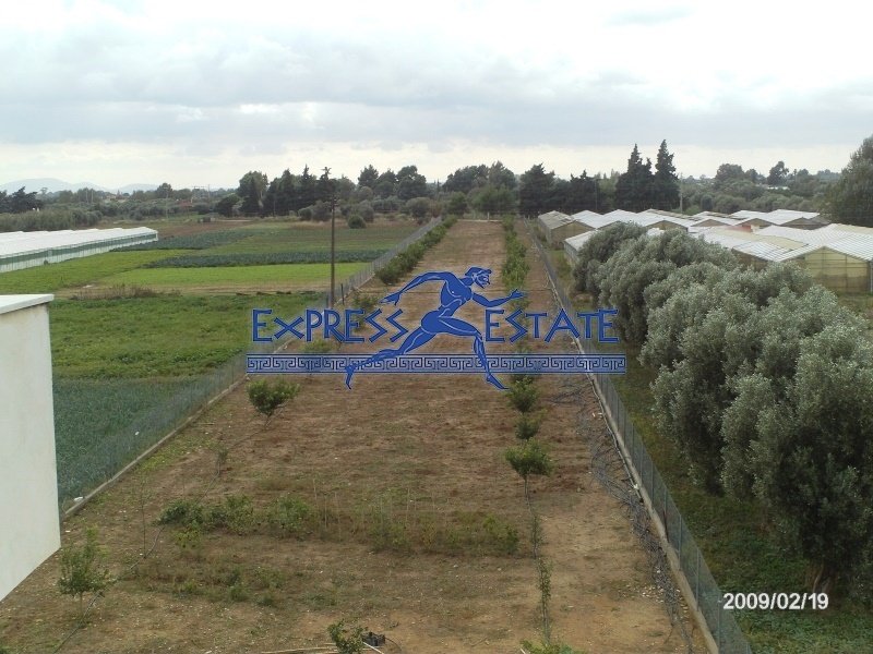 Marathonas, Attica, Greece 5 - 15314262