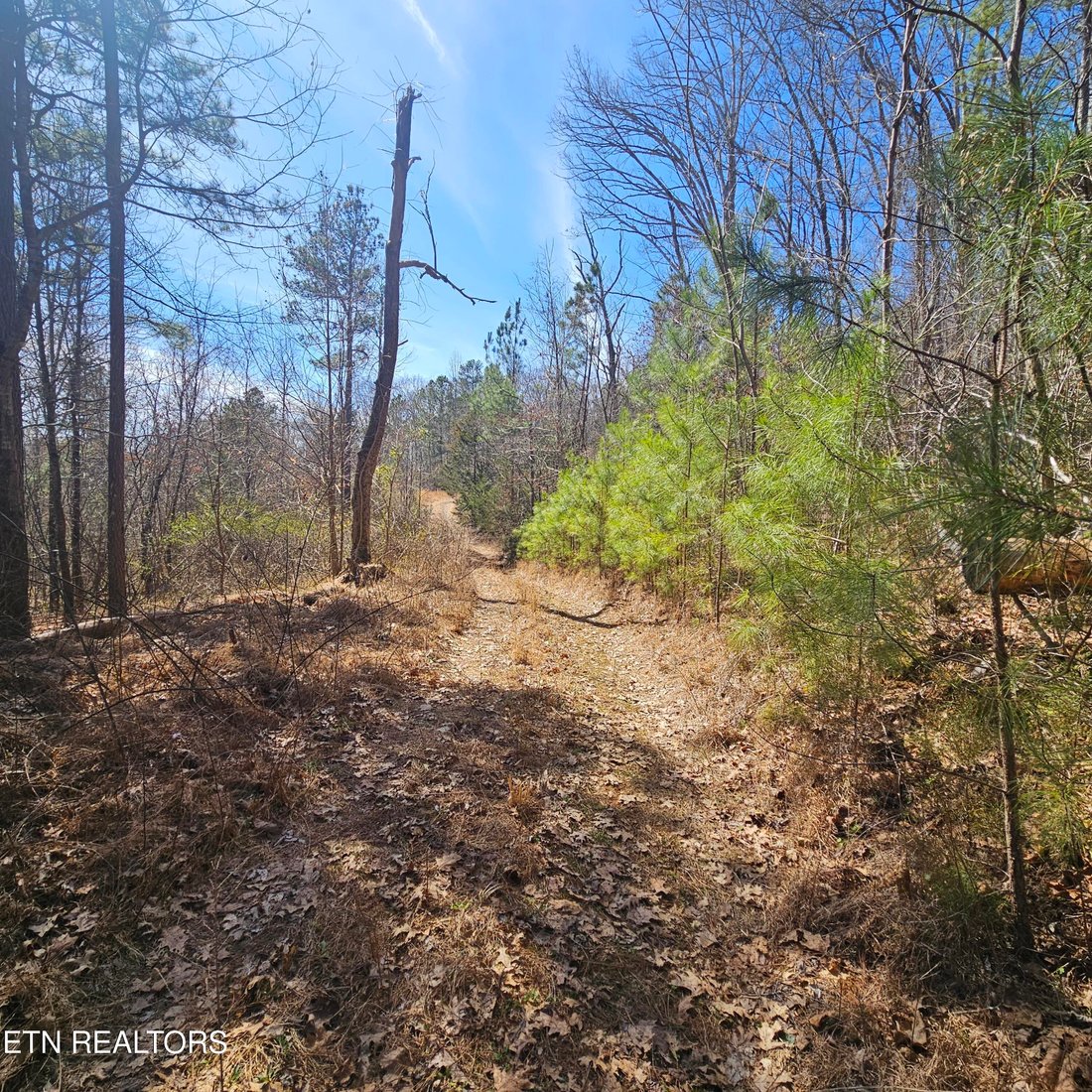 Land in Tellico Plains, Tennessee, United States 3 - 15311615
