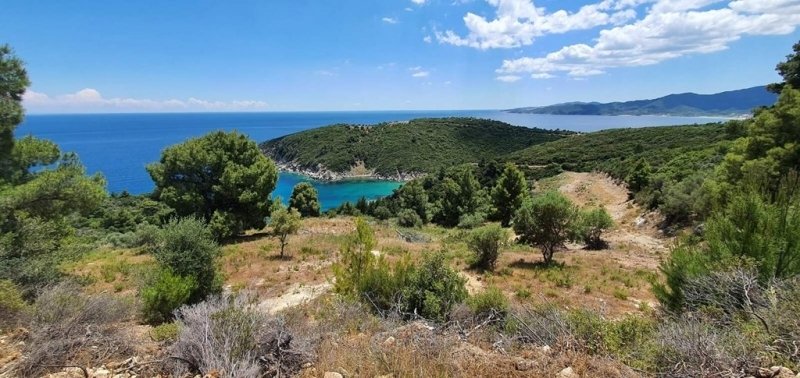 Land in Halkidiki, Macedonia and Thrace, Greece 3 - 14524860