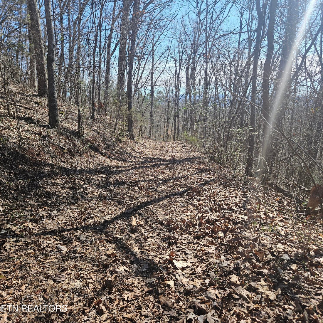 Land in Tellico Plains, Tennessee, United States 5 - 15311615
