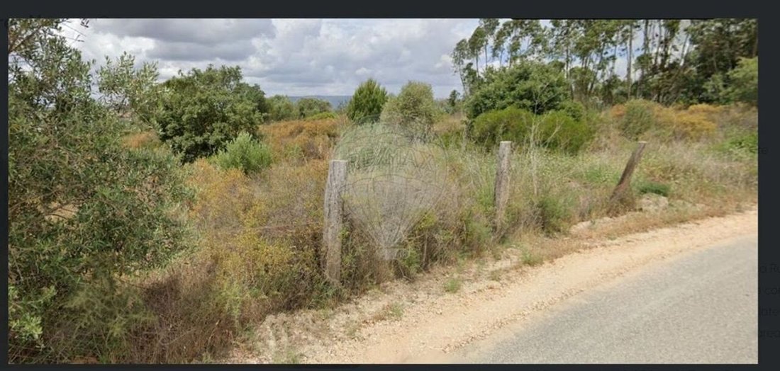 Land in Sao Pedro, Lapas e Ribeira Branca, Santarem District, Portugal 4 - 15315331