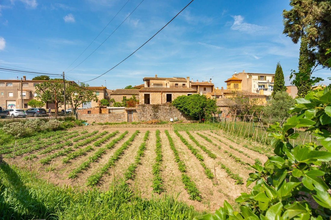 Country House in Bellcaire d'Emporda, Catalonia, Spain 1 - 15318784