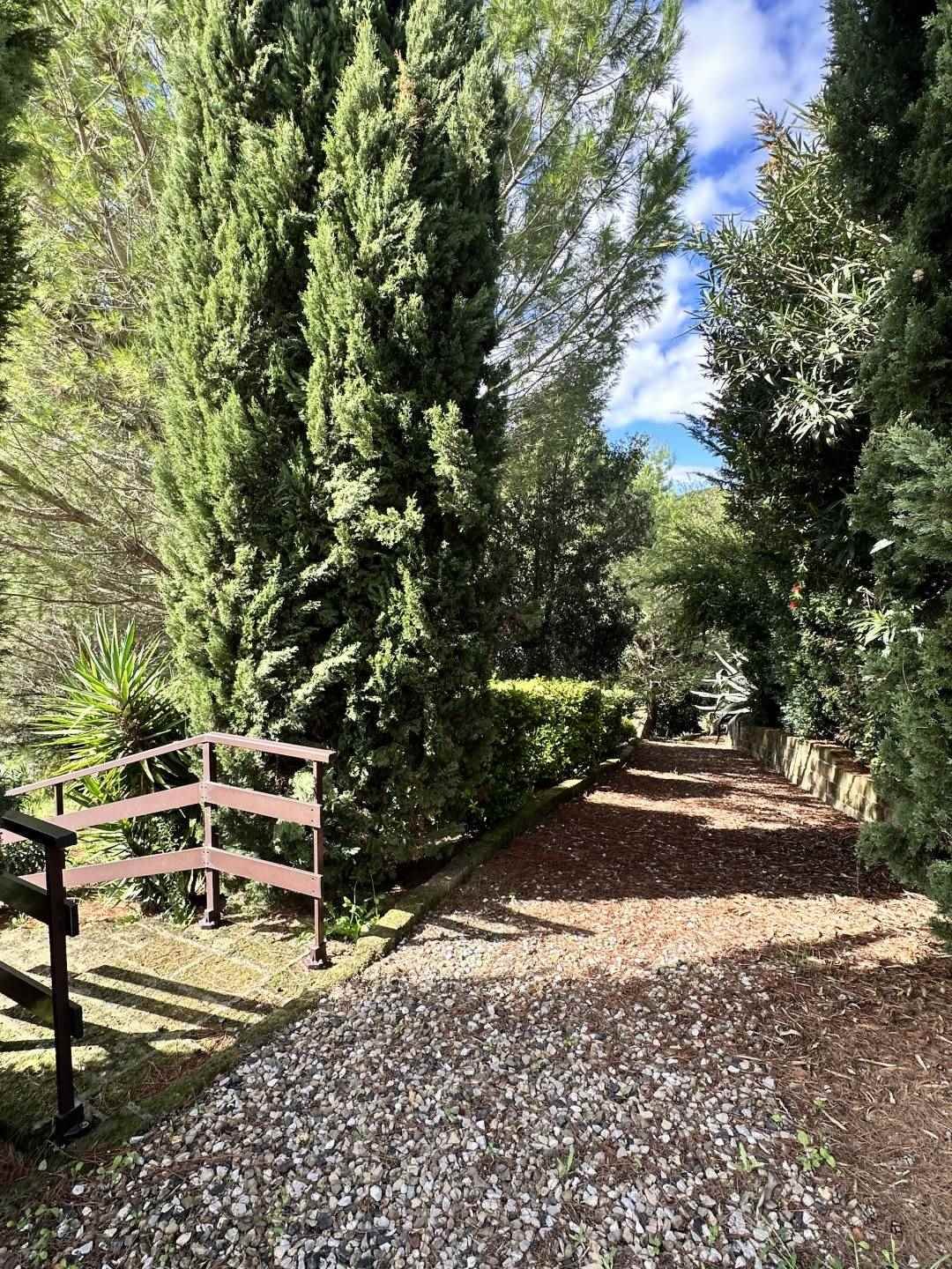 Montecatini Val di Cecina, Tuscany, Italy 3 - 15312211