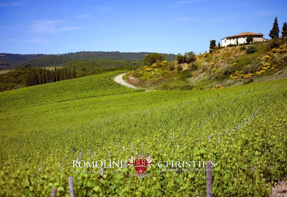 Farm Ranch in San Gimignano, Tuscany, Italy 3 - 14685169