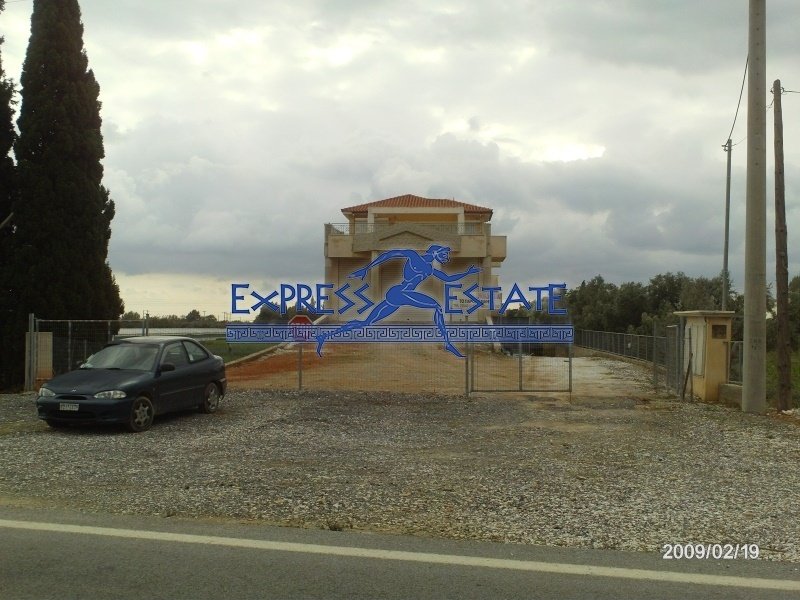 Marathonas, Attica, Greece 4 - 15314262
