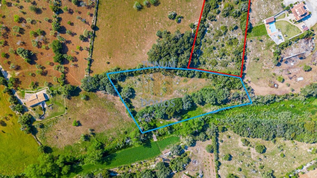 Terreno a Capdepera, Isole Baleari, Spagna 2 - 11233227