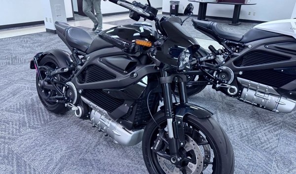 2020 Harley-Davidson Livewire (15317347)