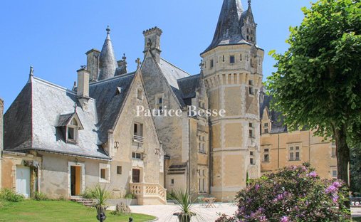 Castle in Grammont, Tours, France 1