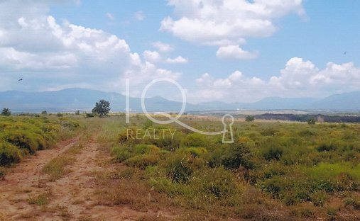 Land in Falaisia, Peloponnese, Western Greece and the Ionian, Griechenland 1