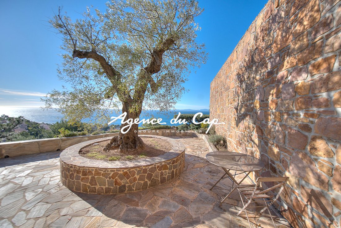 Villa in Le Dramont-Agay-Anthéor-Le Trayas, Saint-Raphaël, France 1 - 15308823
