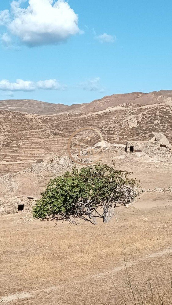 Land in Serifos, Aegean, Greece 5 - 15312992