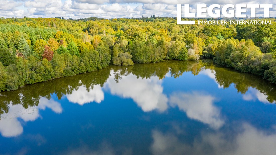 Whispers of the Hunt: An 18th-Century Equestrian Kingdom in Nouvelle-Aquitaine