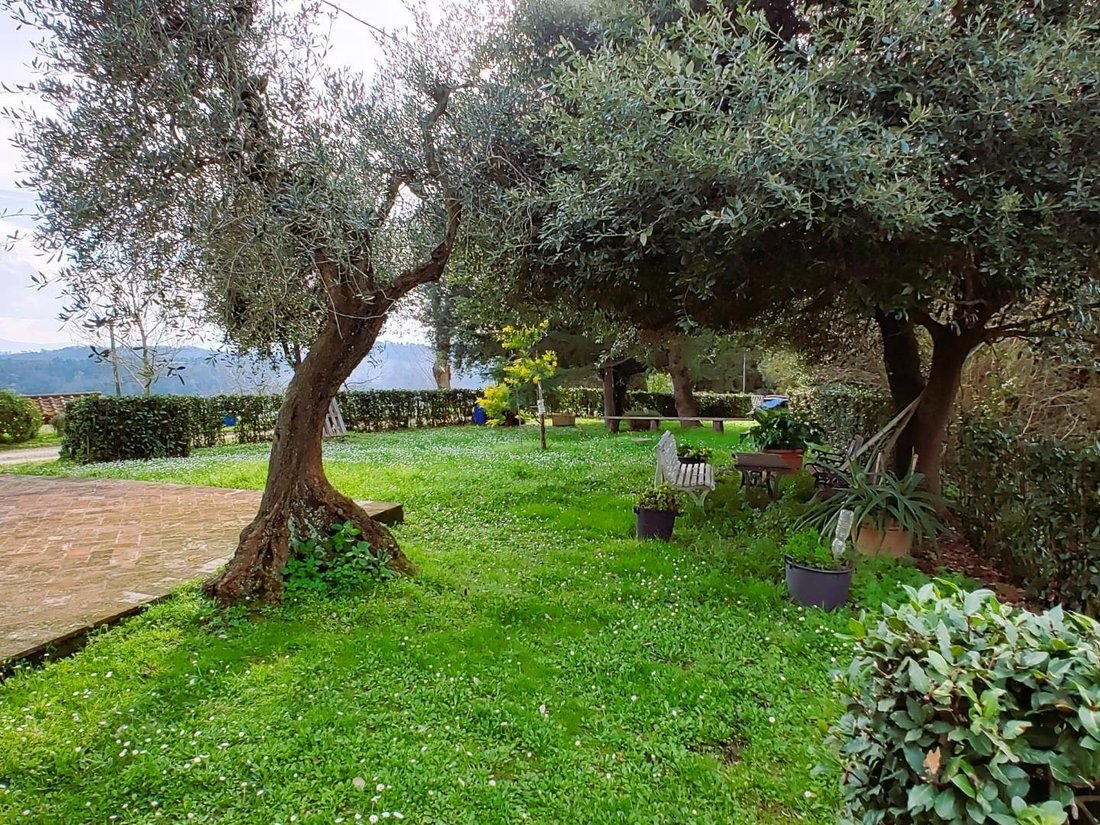 Palaia, Tuscany, Italy 3 - 15316948