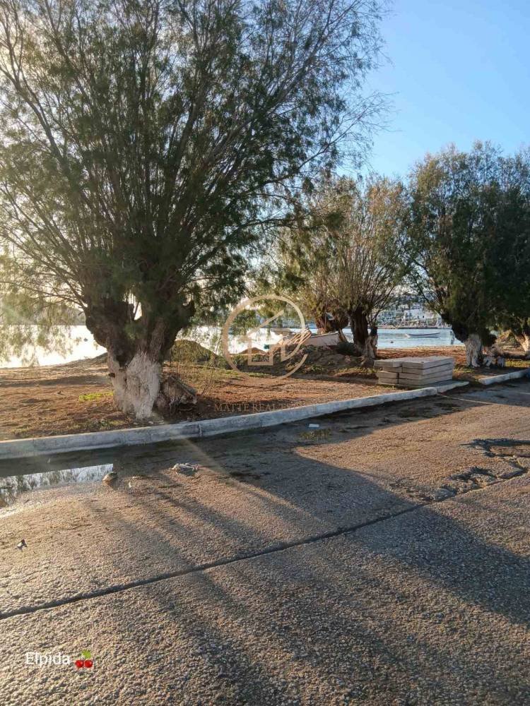 Land in Serifos, Aegean, Greece 4 - 15312998