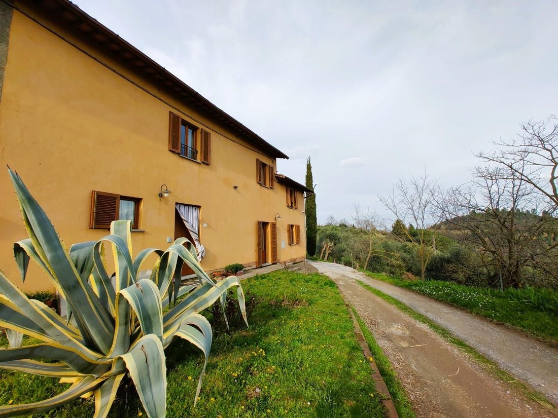 Palaia, Tuscany, Italy 1 - 15316948