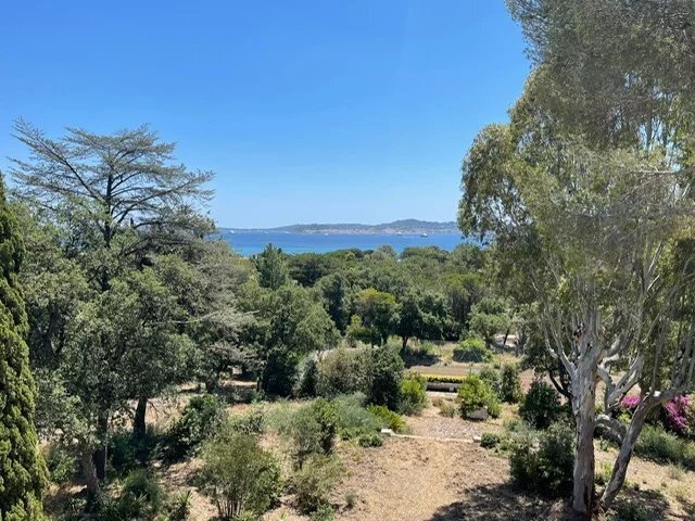 Land in Grimaud, Provence-Alpes-Côte d'Azur, France 3 - 15320664
