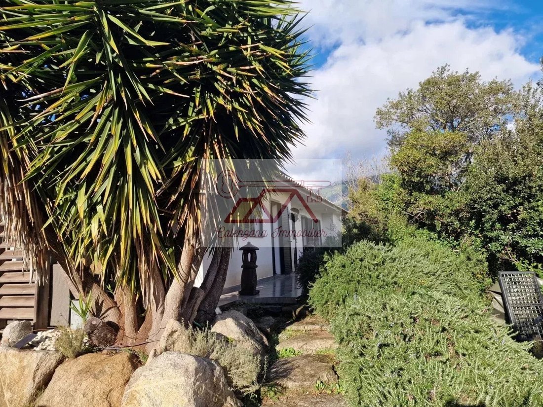 Villa in Sotta, Corsica, France 3 - 15317132