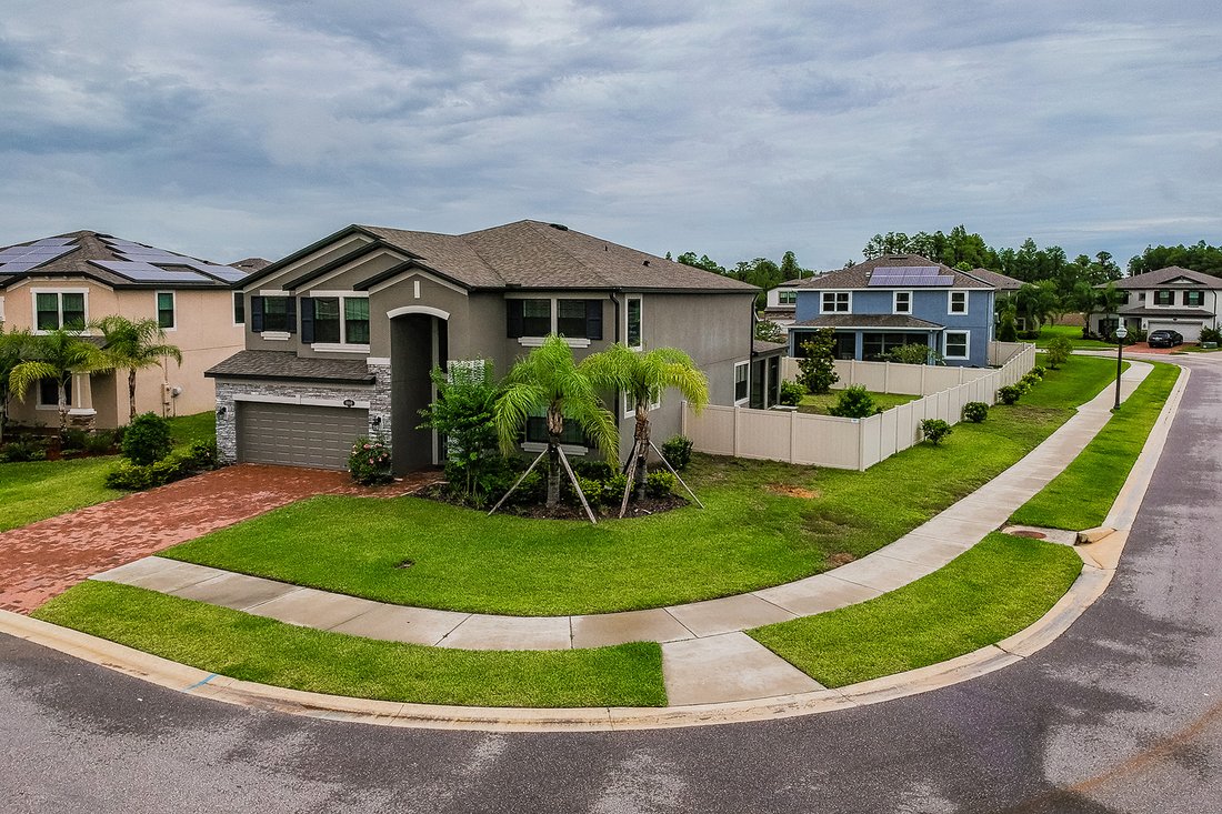 House in Land O' Lakes, Florida, United States 3 - 10993576
